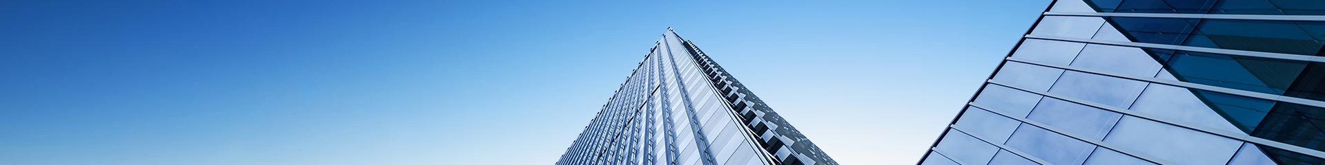 全價貓糧 牛肉味-貓糧-濟(jì)南寶翠飼料有限公司官方網(wǎng)站